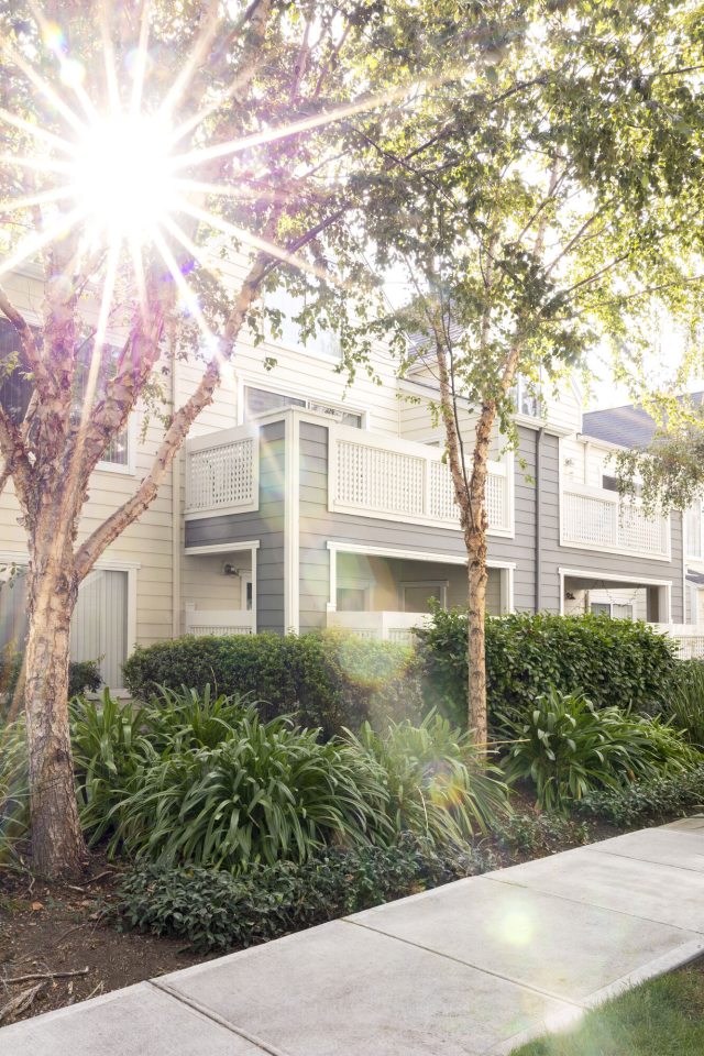 Alderwood Apartments Image 18