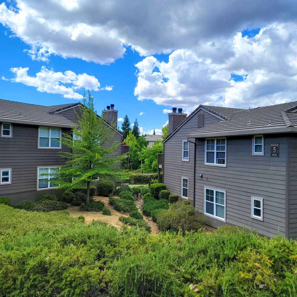 Lake Forest Image 42