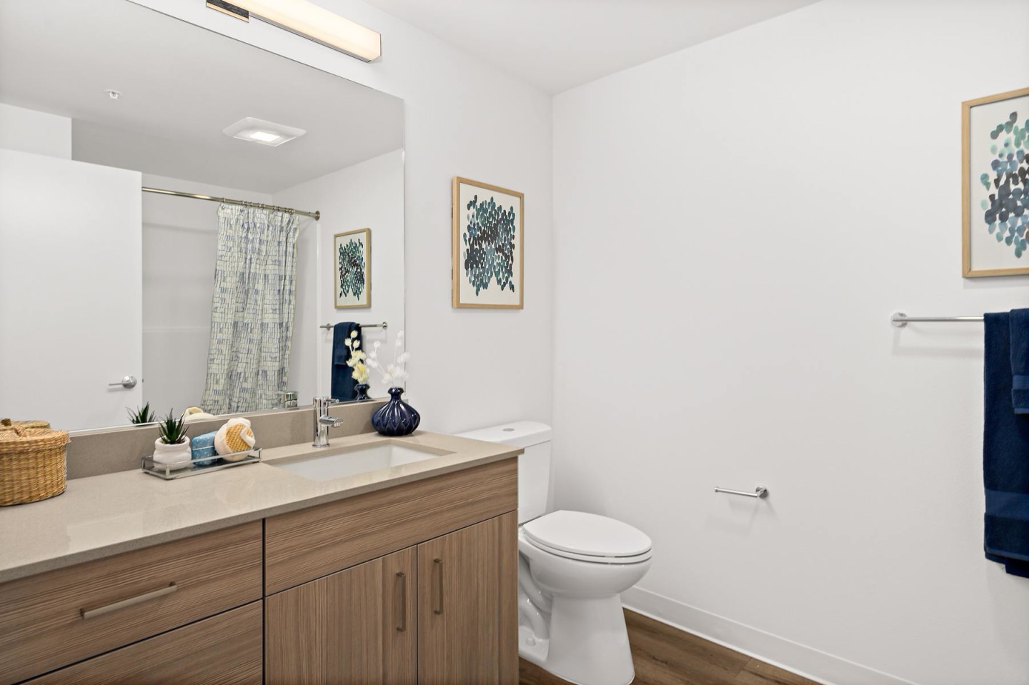 Colina Image 11
