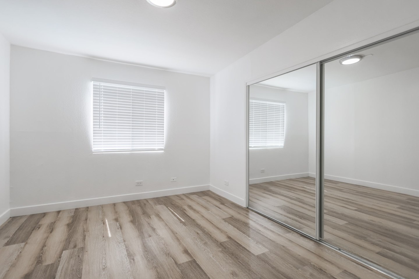 Monarch Apartment Lofts Image 15