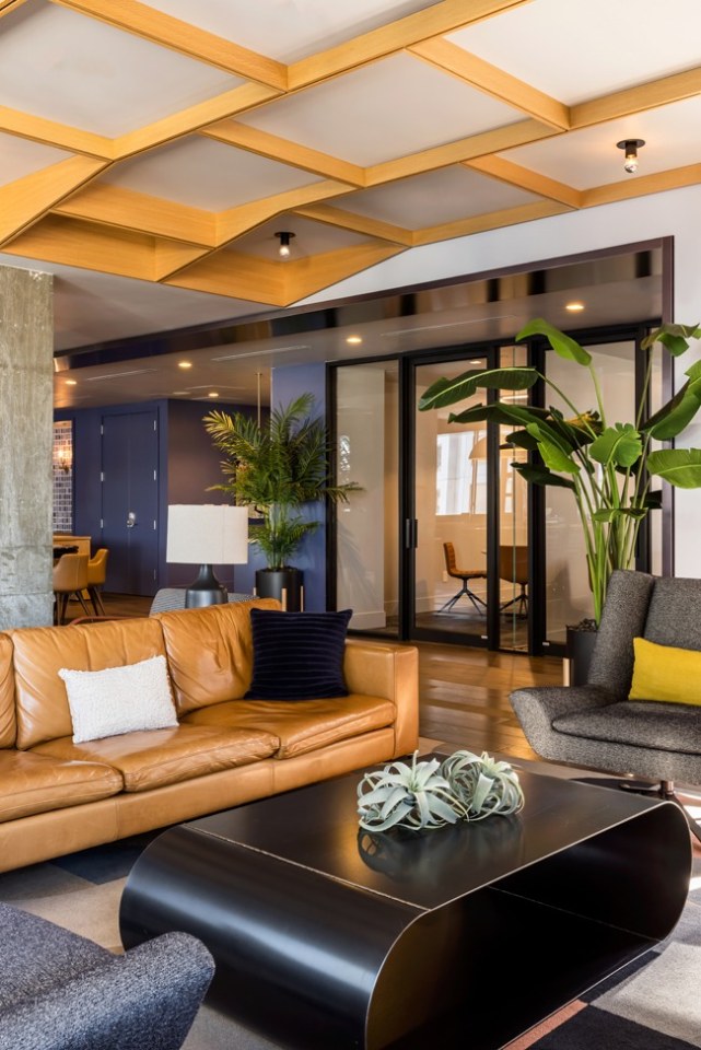 The BLVD Collection Image 56