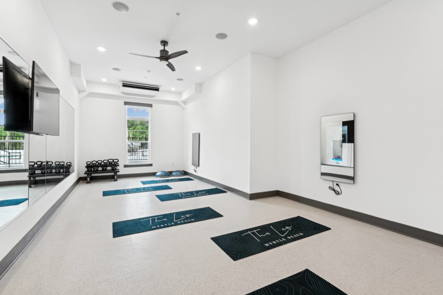 The Leo - 55+ Active Adult Apartment Homes Image 62
