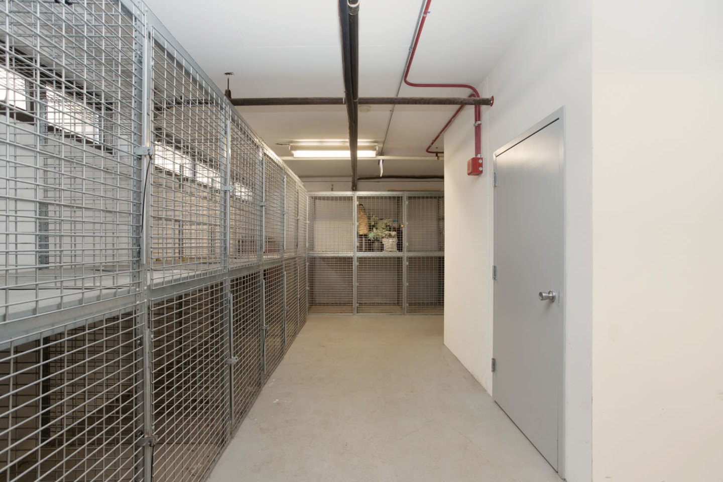 Algonquin Apartments Image 16