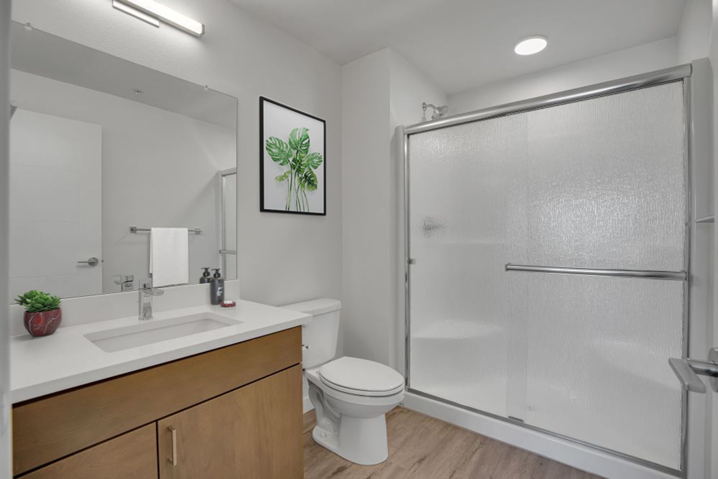 Terra Lofts Apartments Image 10