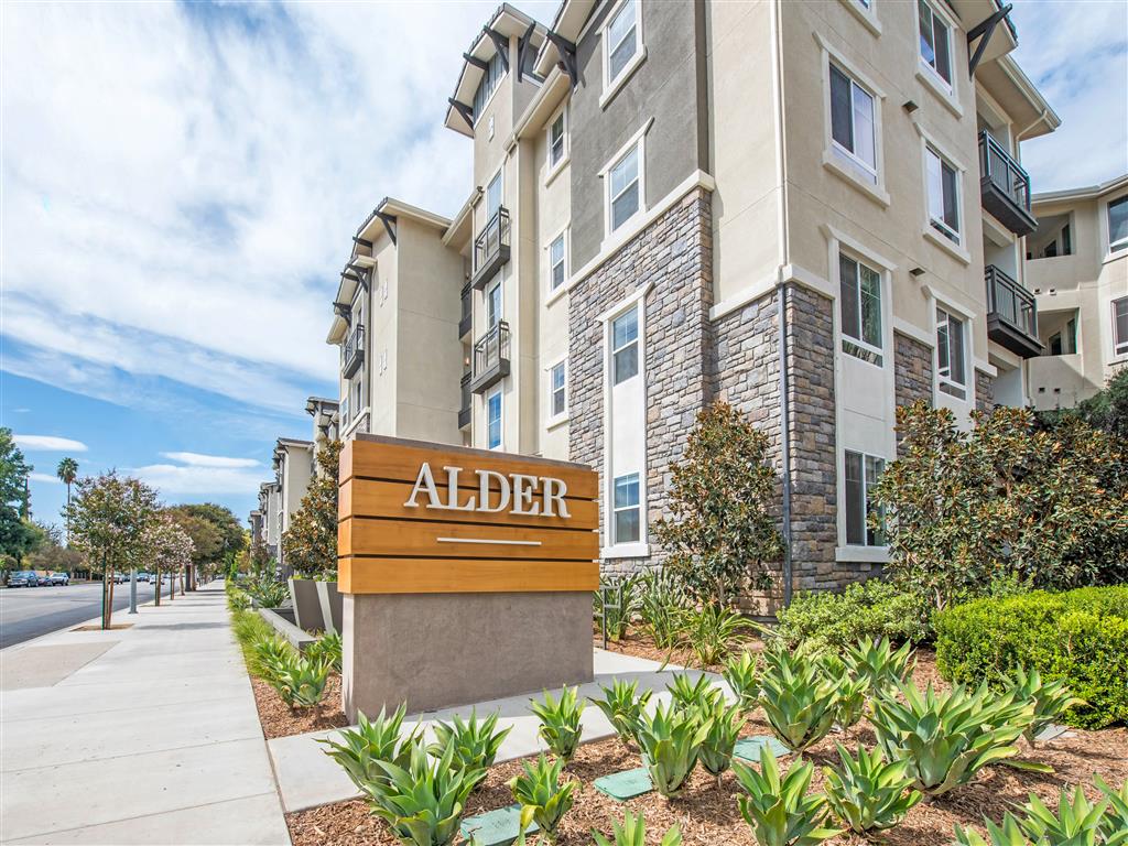 Alder Apartments Image 4