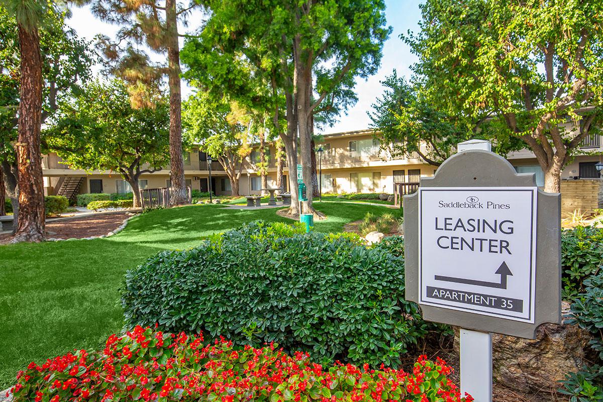 Saddleback Pines Image 17