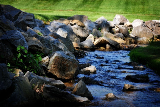 Salem Wood Image 21
