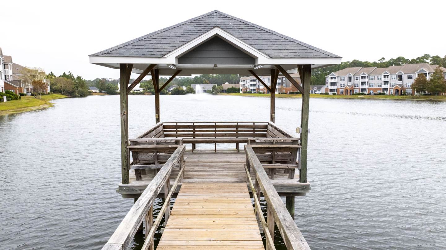 Odyssey Lake Apartments Image 41