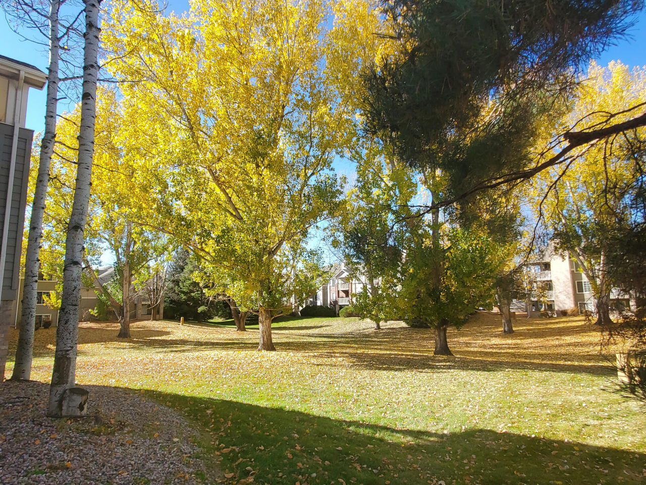 The Arbors at Sweetgrass Image 2