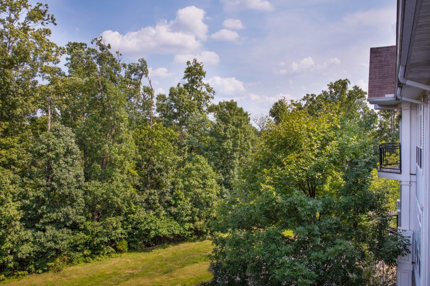 Jefferson Arbors at Broadlands Image 26