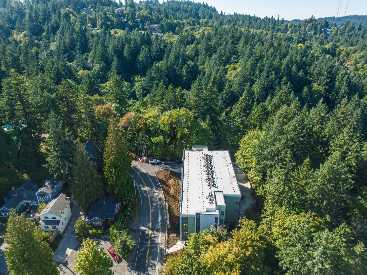 The Woods on Marquam Hill Image 6