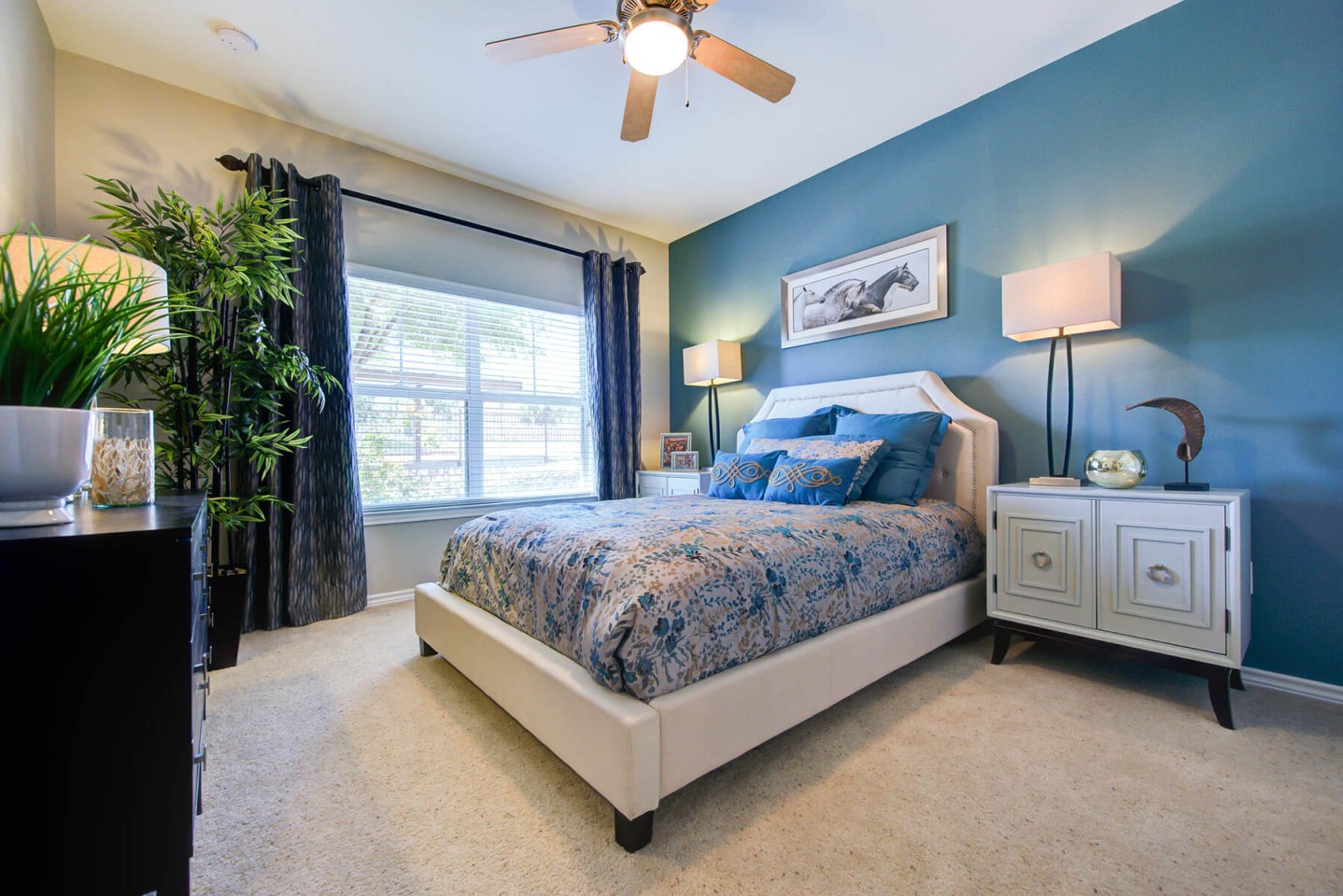 Callista Hill Country Apartments Image 10
