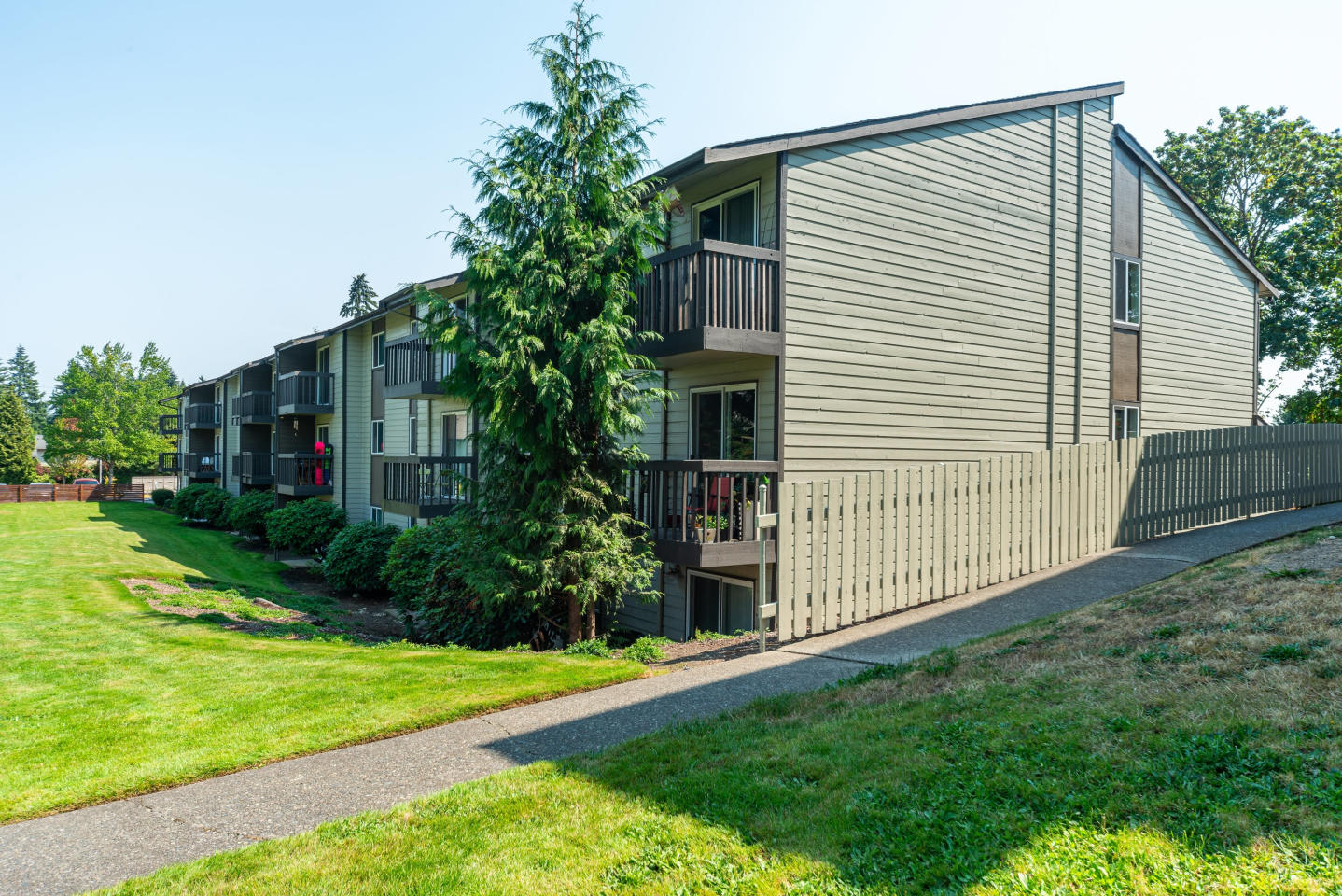 Terra Apartments Image 18