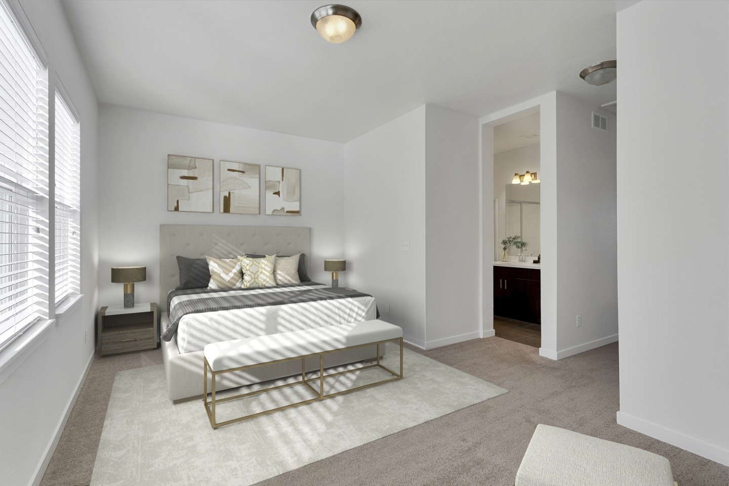 Platt Park Townhomes Image 14