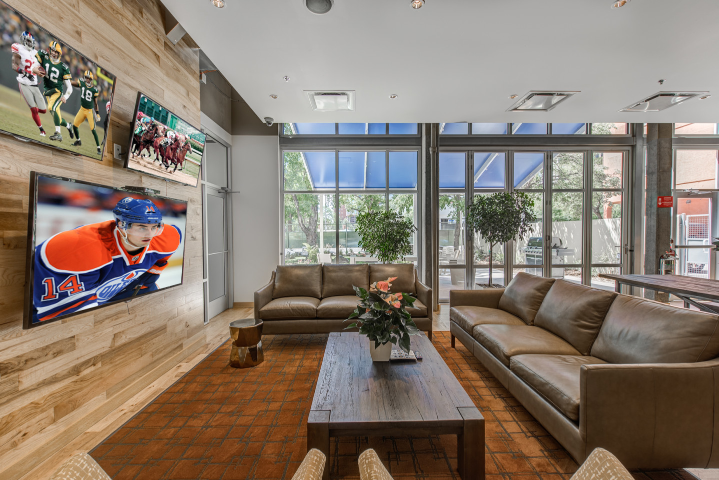 Skyline 1801 Image 14