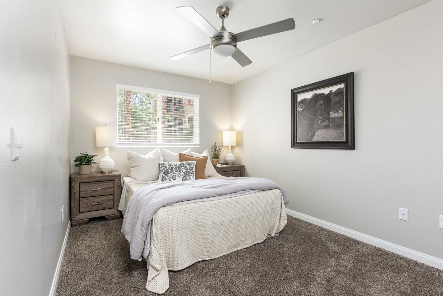 Amara Spring Valley Apartments Image 13