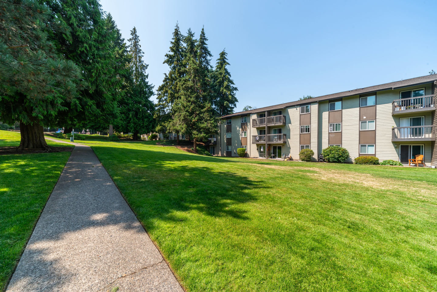 Terra Apartments Image 12