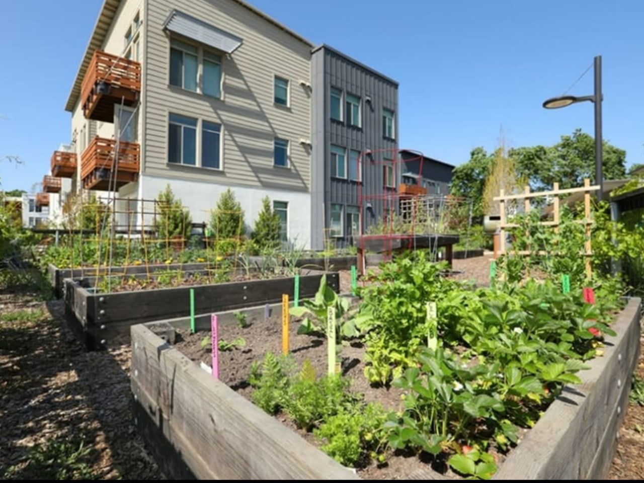 Affordable Housing - Annadel Apartments Image 14