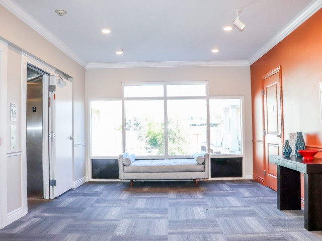 The Mercer Image 39