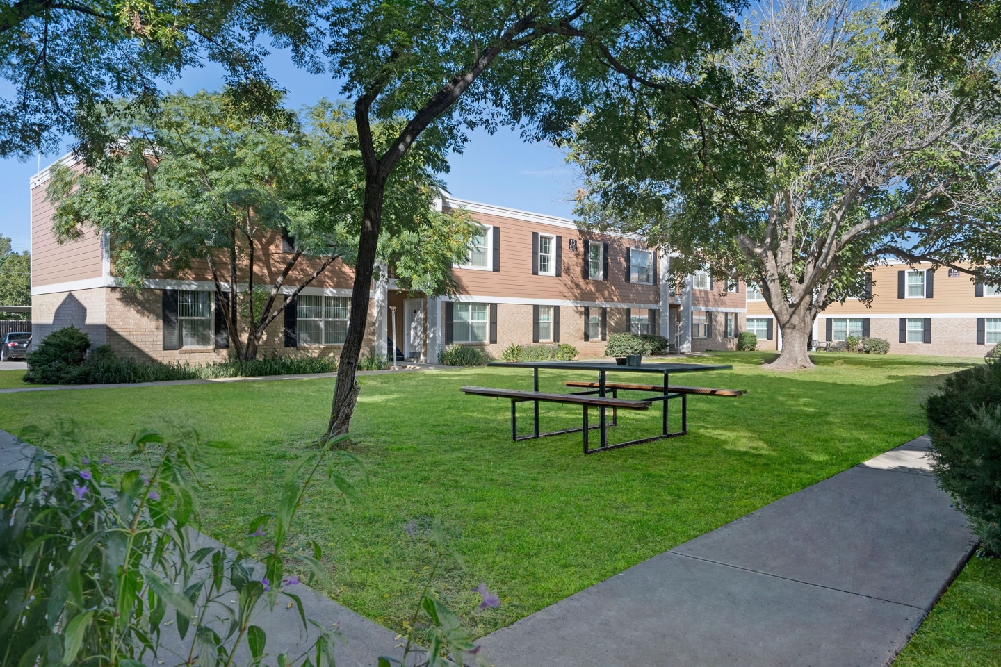 Golden Crest Image 15