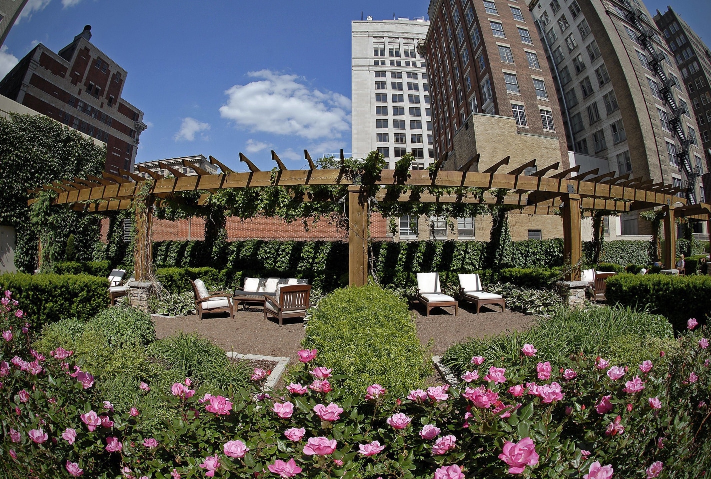 909 Walnut Image 30