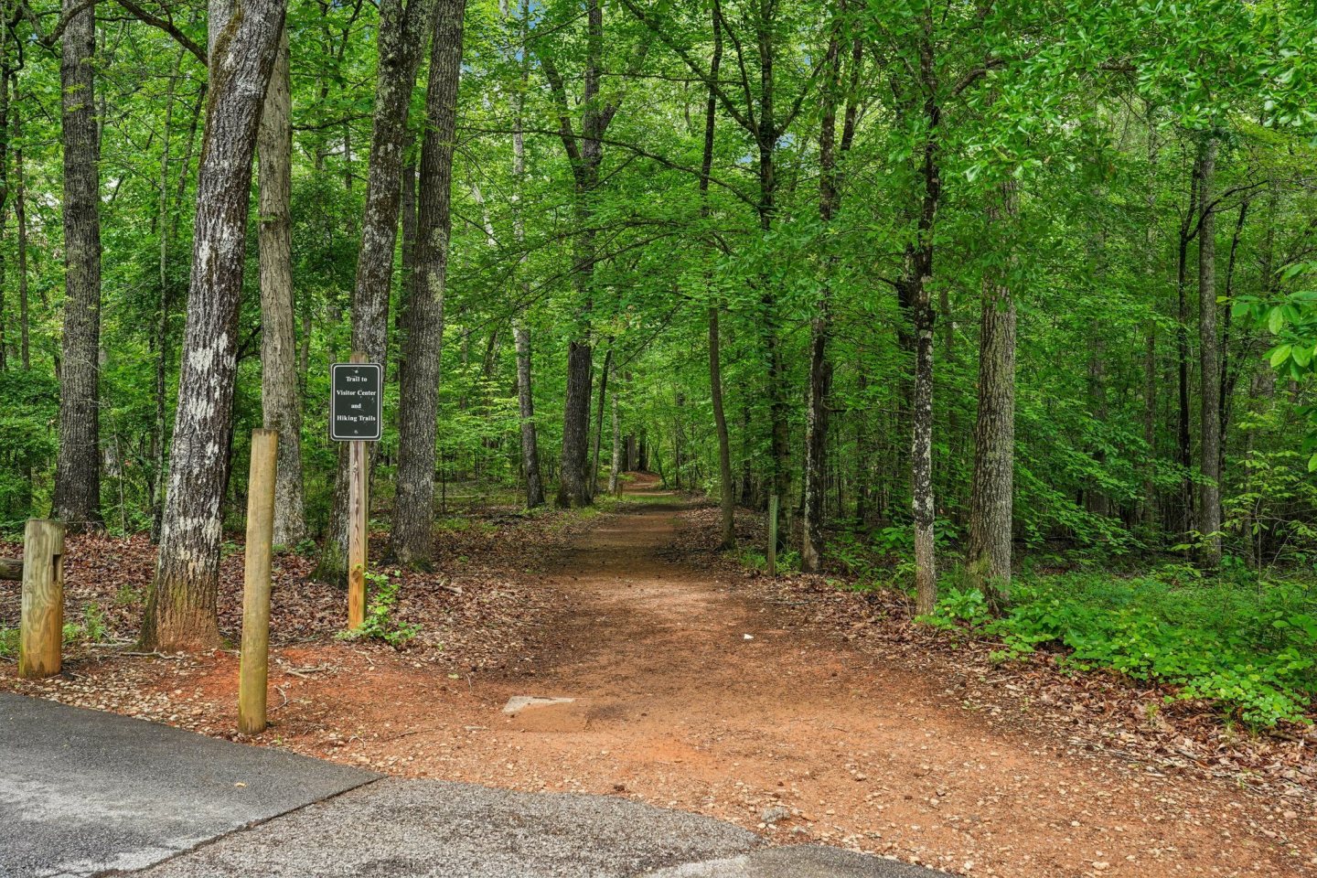 Wesley Hampstead at Douglasville Image 4