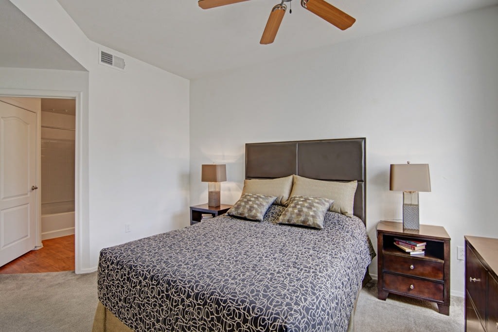 Acclaim Image 8