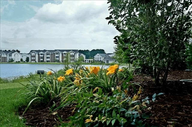 Village on the Lake Apartments Image 13