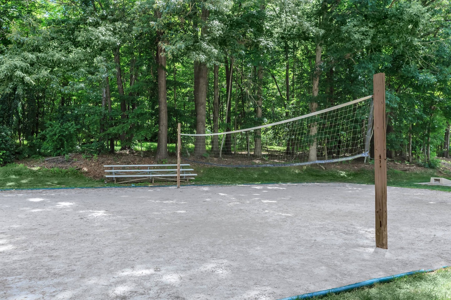 Walden Pond Image 9