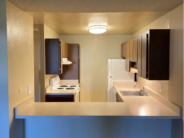 Beachcomber Image 3