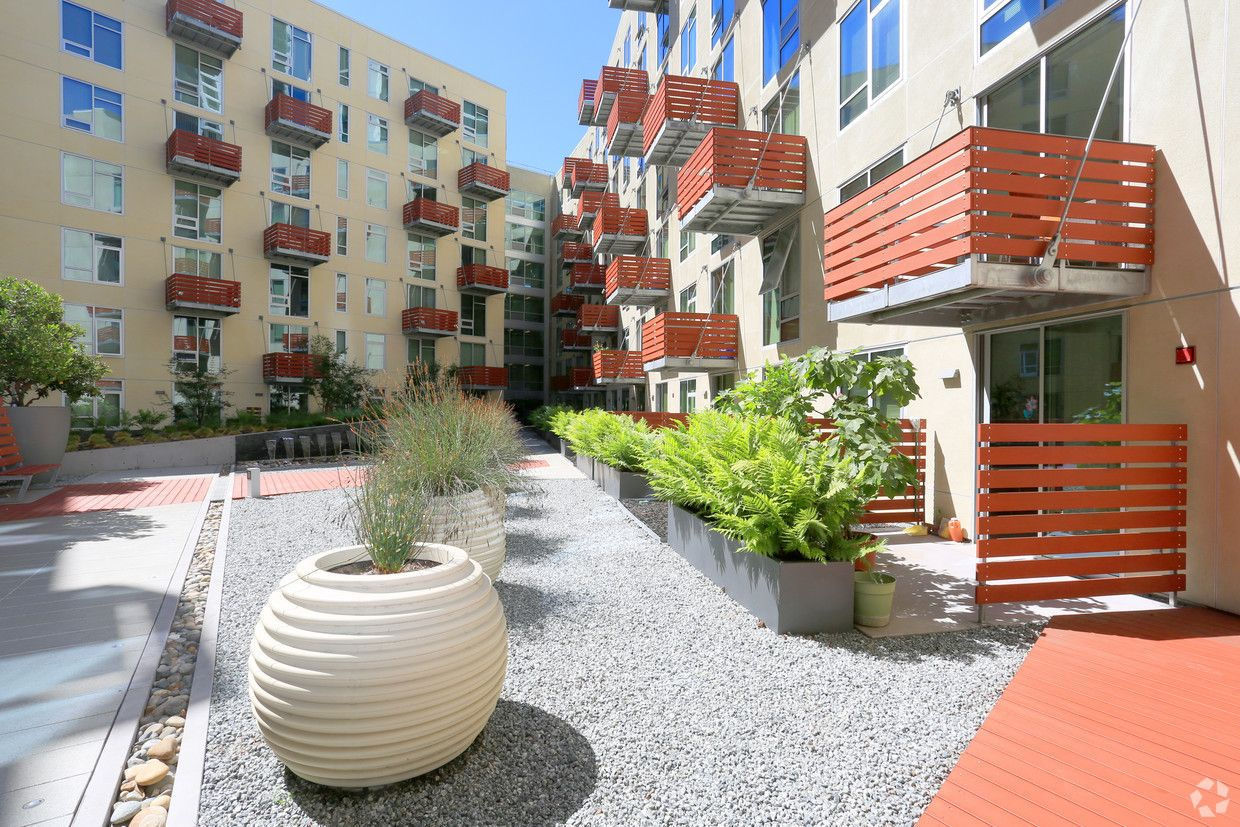 Rincon Green Image 35