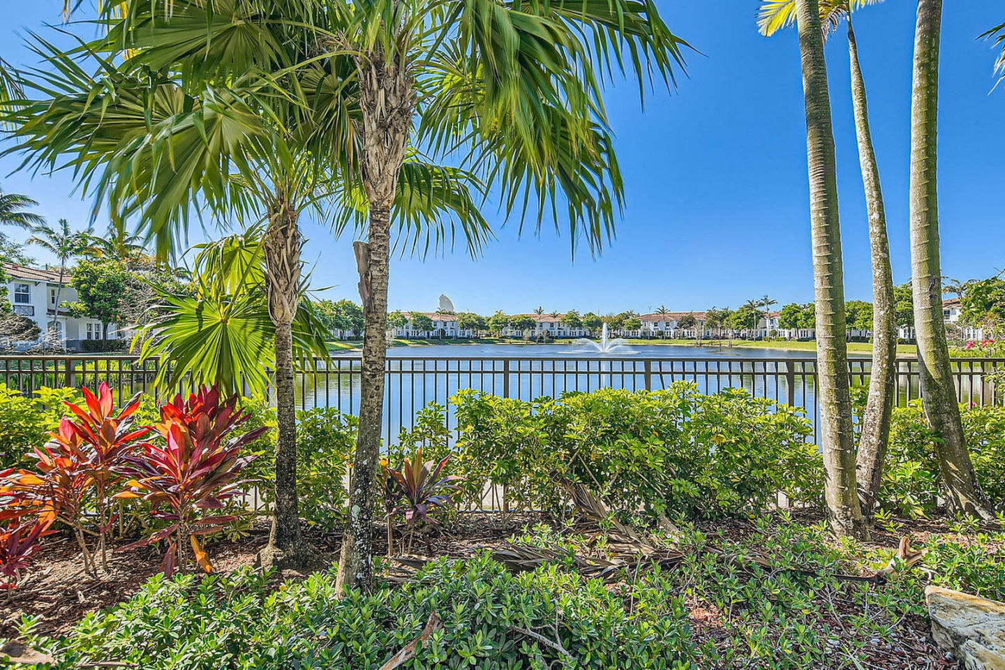 Solero at Plantation Image 19