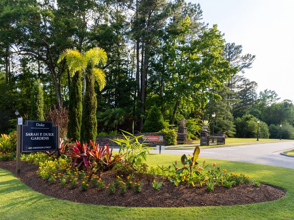 Avalon Durham Image 18