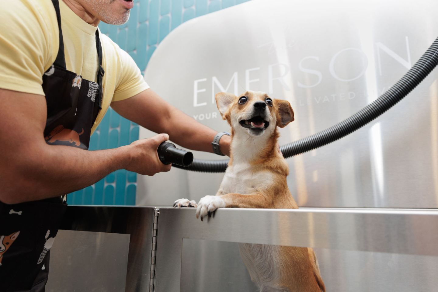 The Emerson Image 25