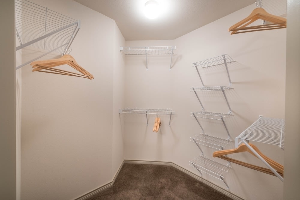 Paladin Apartments Image 21