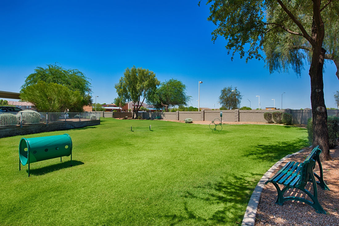 Envision Image 18