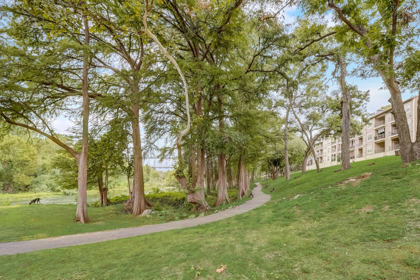 Riverbend Apartments Image 38
