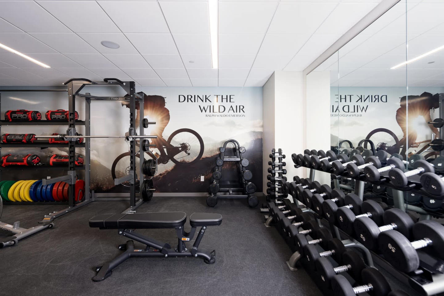 The Emerson Image 21