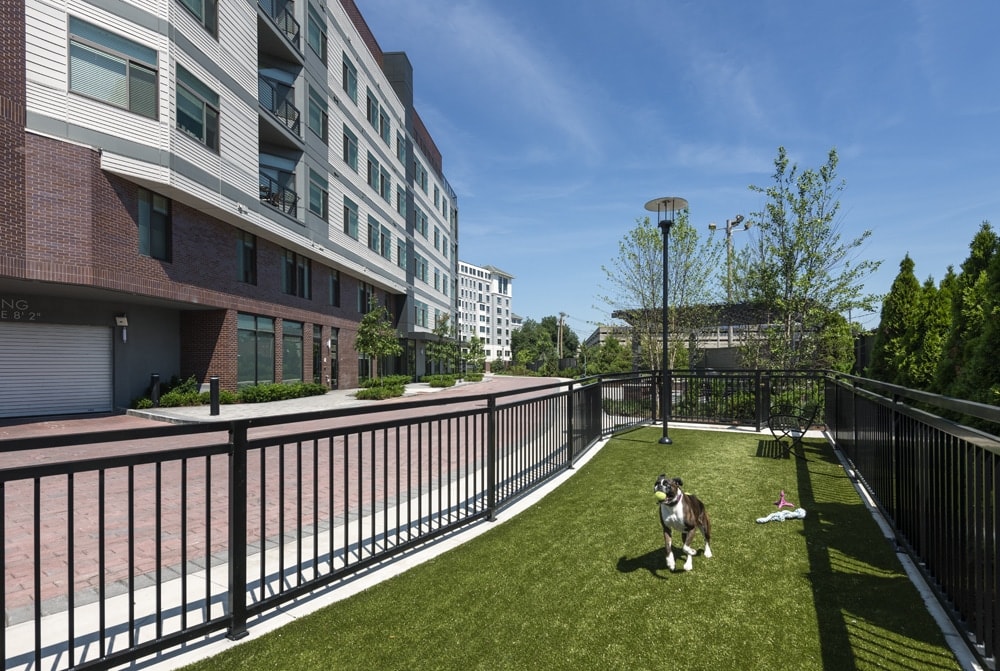 Luxe at Alewife Image 13
