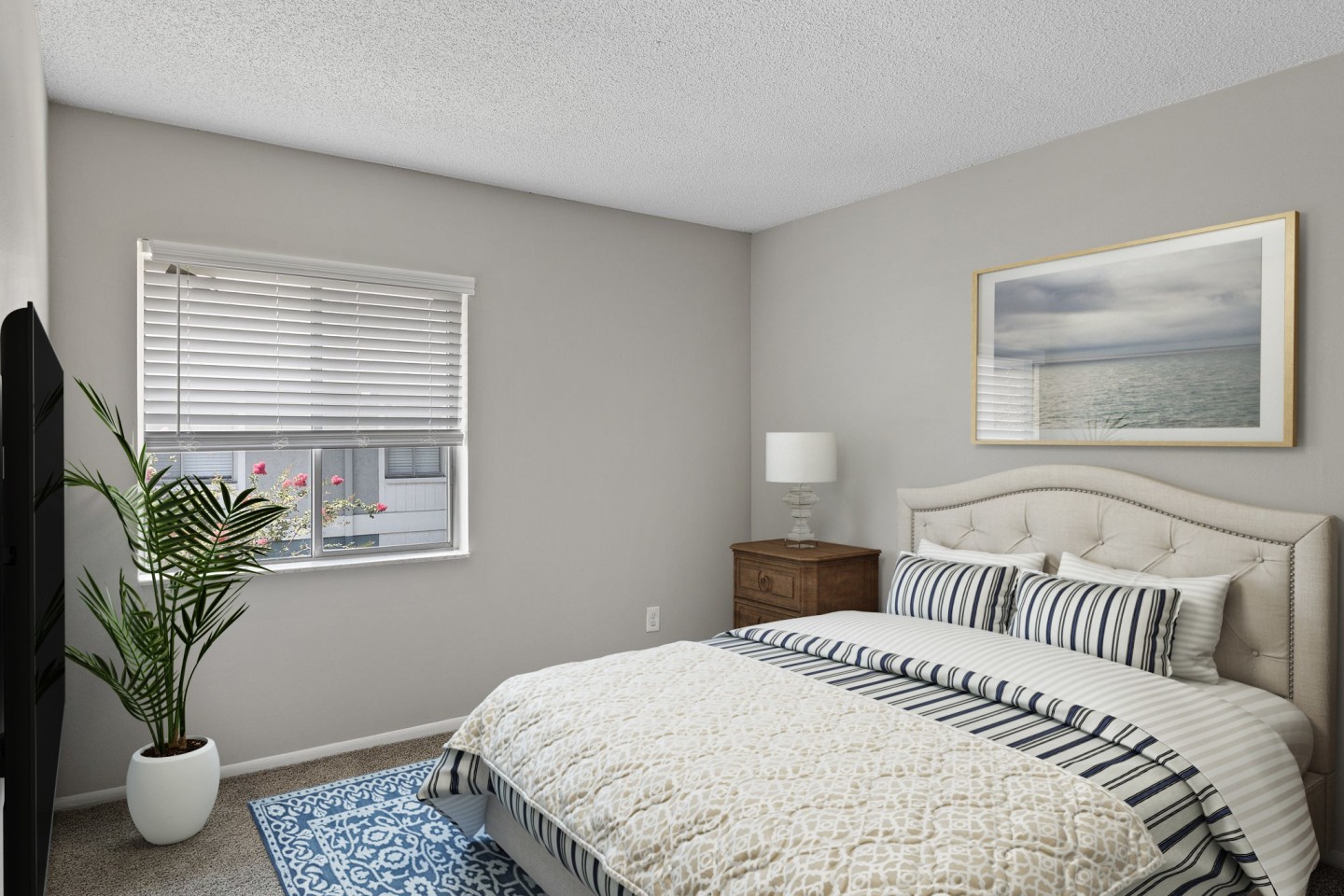 The Palms at Countryside Apartments Image 5
