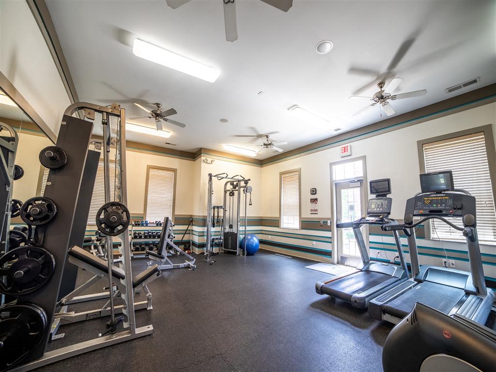 Monon Living Image 52