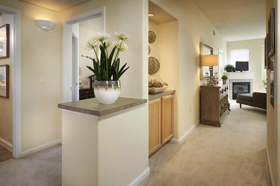 Madison Park Image 14
