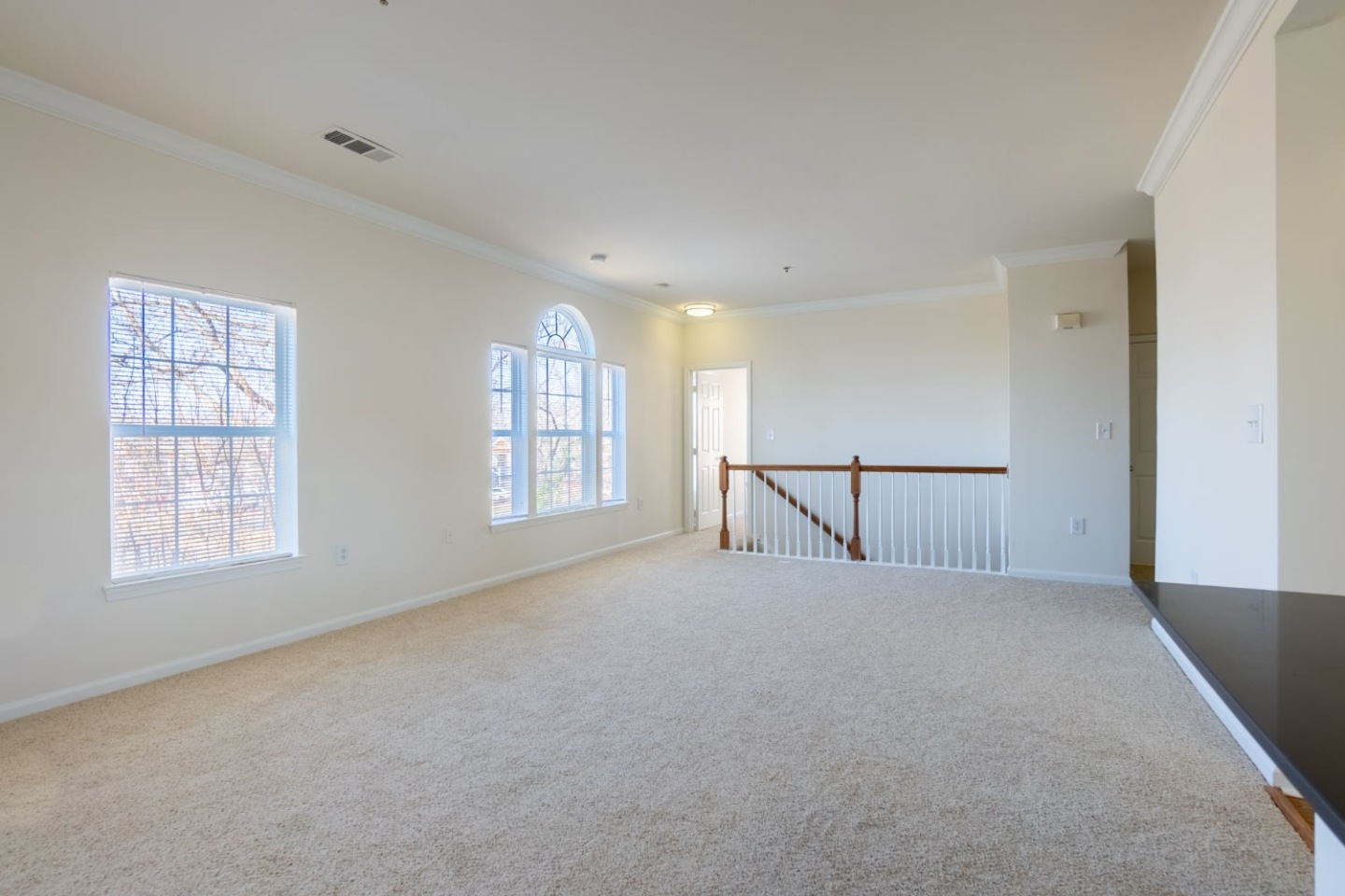 Halstead Alexandria Image 18