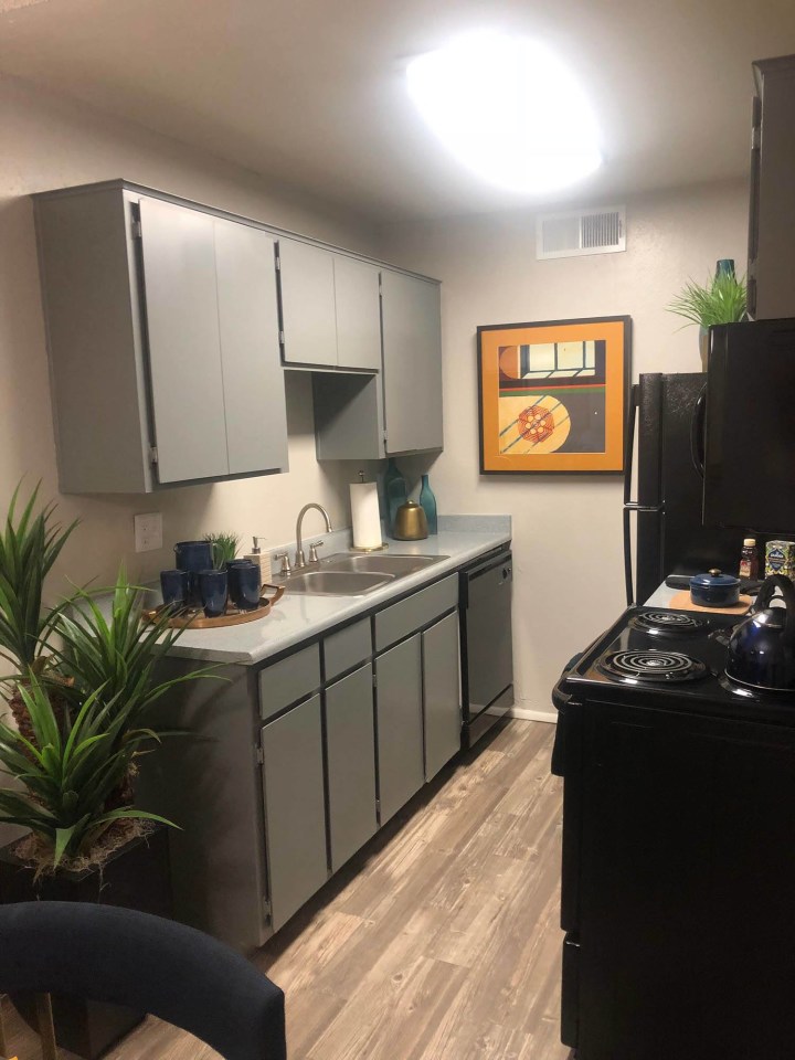 Elevation Apartments Image 12