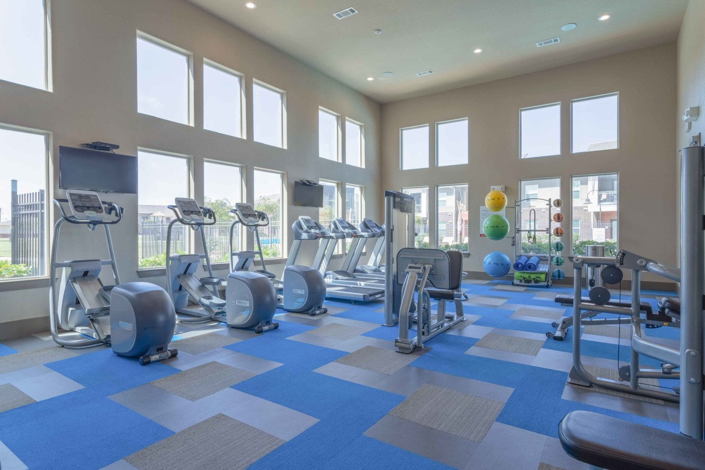 Century Palm Bluff Image 17