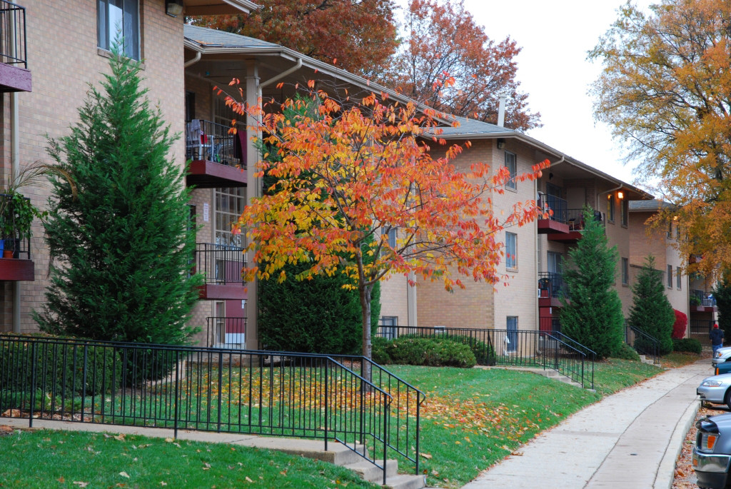 Springfield Gardens Image 5