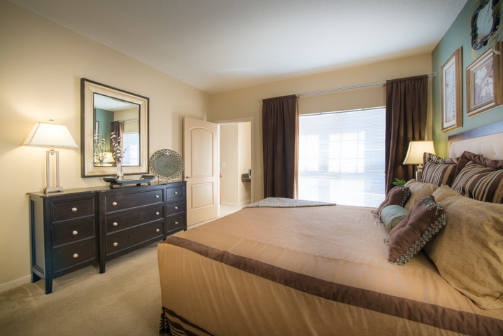 Odyssey Lake Apartments Image 32