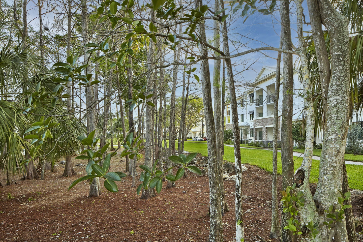 The Preserve Cypress Hammock Image 25