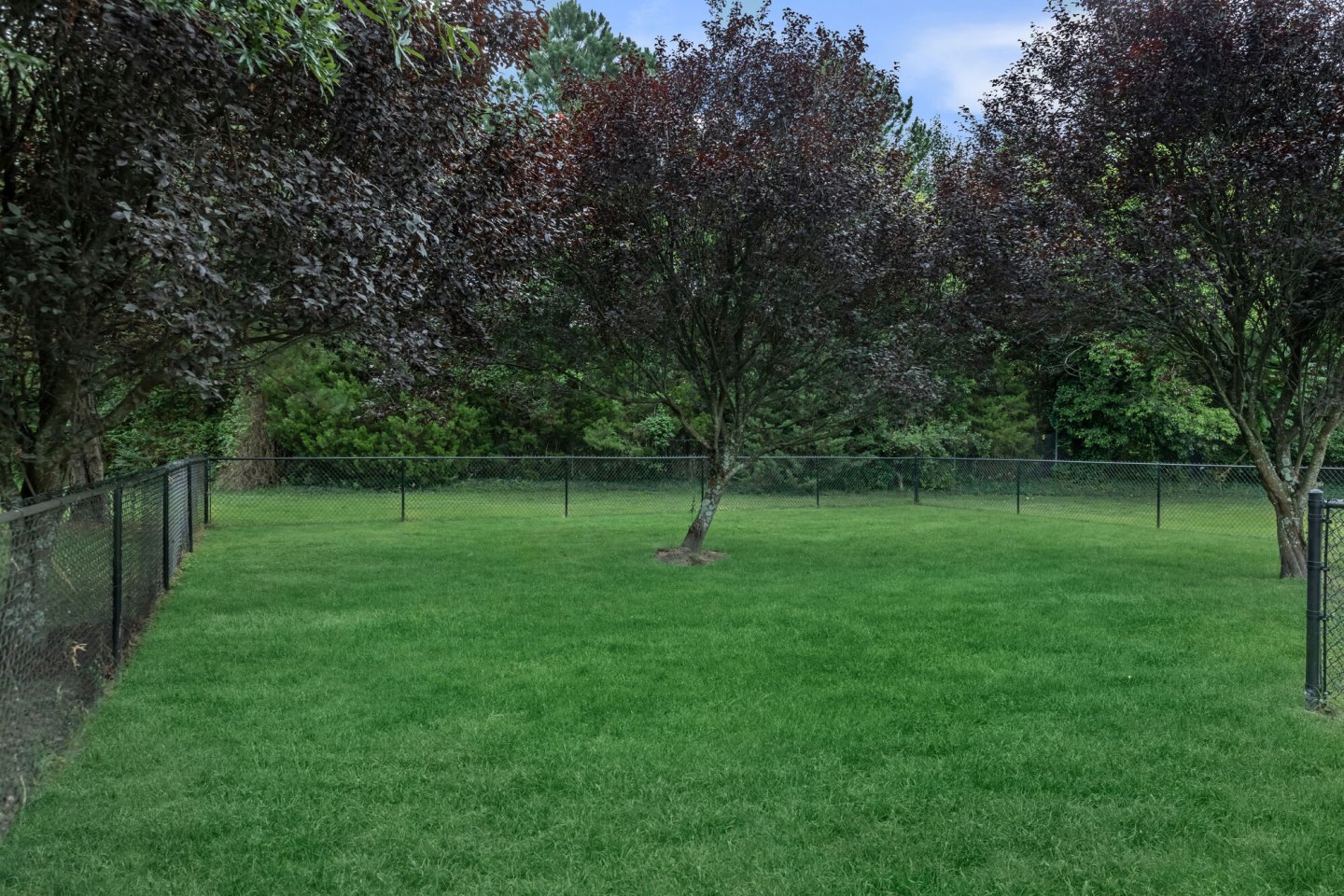 Clearfield Image 31