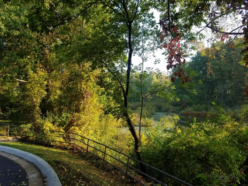 Winchell Way Image 26